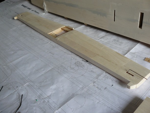 tail-section (12)