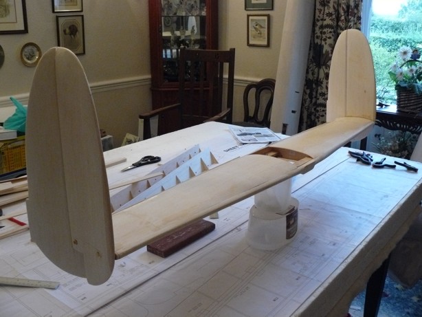 tail-section (34)