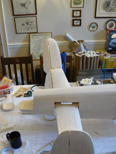 tail-section (41)